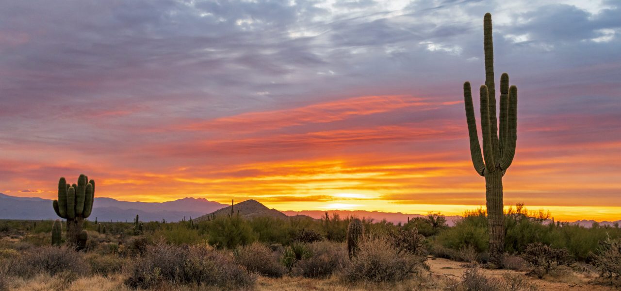 Arizona sunset near Avrio Compounding pharmacy which compounds BHRT bioidentical hormone replacement therapy, cacti, sunset